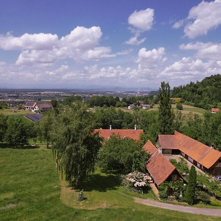 Apartamento Lexsimihof - Stoeckl Wildon Exterior foto